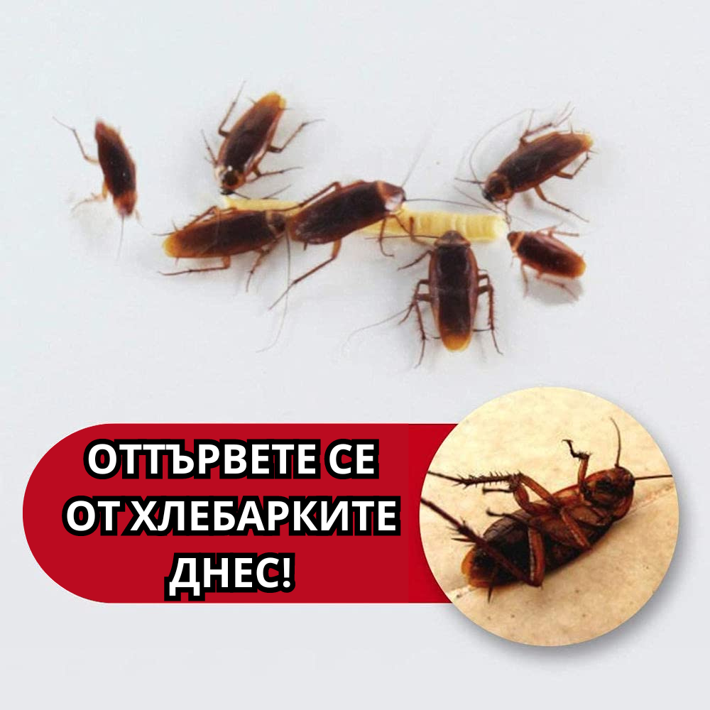 Roach Doctor - Гел за хлебарки